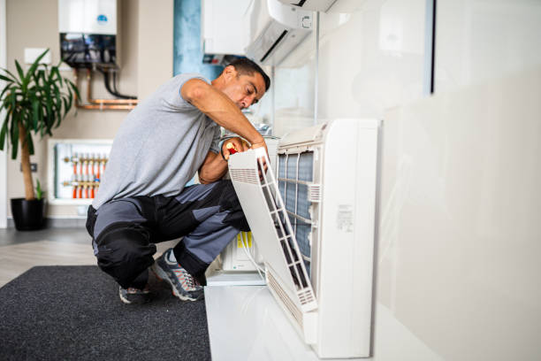 Best HVAC Air Duct Cleaning  in Volo, IL