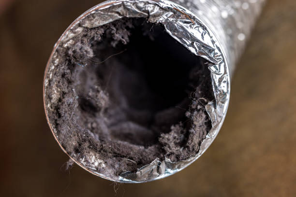 Best Affordable Air Duct Cleaning  in Volo, IL