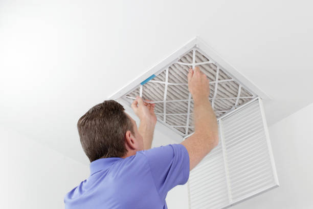 Best Air Duct Mold Removal  in Volo, IL